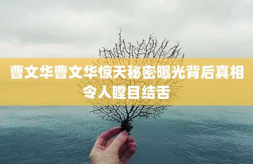 曹文华曹文华惊天秘密曝光背后真相令人瞠目结舌