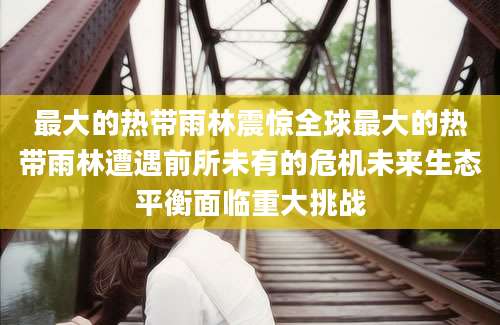 最大的热带雨林震惊全球最大的热带雨林遭遇前所未有的危机未来生态平衡面临重大挑战