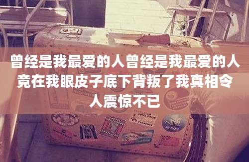 曾经是我最爱的人曾经是我最爱的人竟在我眼皮子底下背叛了我真相令人震惊不已