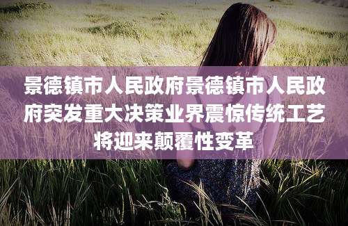 景德镇市人民政府景德镇市人民政府突发重大决策业界震惊传统工艺将迎来颠覆性变革
