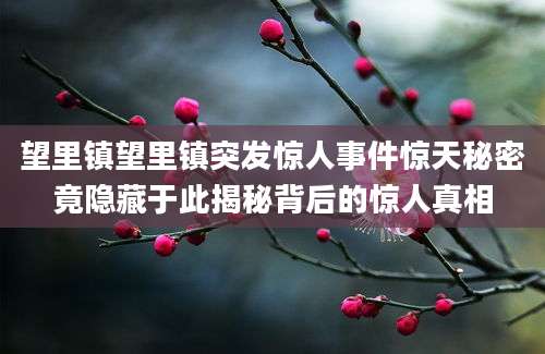 望里镇望里镇突发惊人事件惊天秘密竟隐藏于此揭秘背后的惊人真相