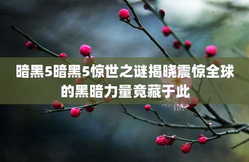 暗黑5暗黑5惊世之谜揭晓震惊全球的黑暗力量竟藏于此