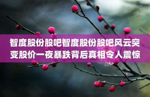 智度股份股吧智度股份股吧风云突变股价一夜暴跌背后真相令人震惊
