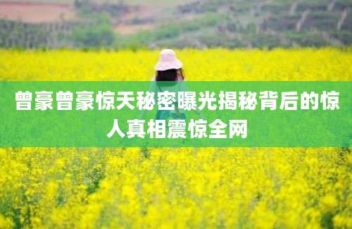 曾豪曾豪惊天秘密曝光揭秘背后的惊人真相震惊全网