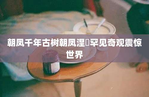 朝凤千年古树朝凤涅槃罕见奇观震惊世界