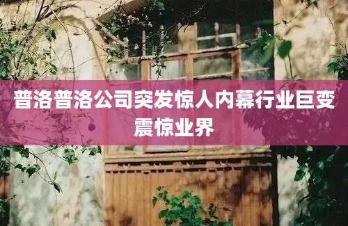 普洛普洛公司突发惊人内幕行业巨变震惊业界