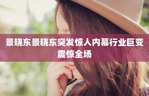 景晓东景晓东突发惊人内幕行业巨变震惊全场