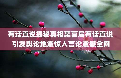 有话直说揭秘真相某高层有话直说引发舆论地震惊人言论震撼全网