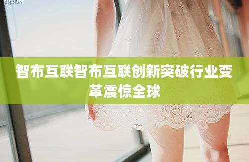 智布互联智布互联创新突破行业变革震惊全球