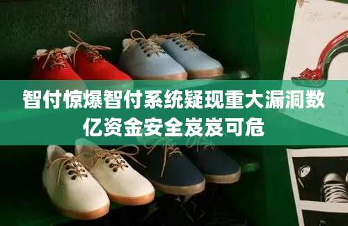 智付惊爆智付系统疑现重大漏洞数亿资金安全岌岌可危