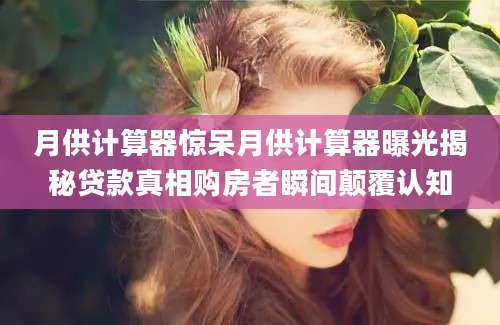 月供计算器惊呆月供计算器曝光揭秘贷款真相购房者瞬间颠覆认知