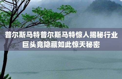 普尔斯马特普尔斯马特惊人揭秘行业巨头竟隐藏如此惊天秘密
