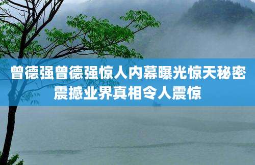 曾德强曾德强惊人内幕曝光惊天秘密震撼业界真相令人震惊