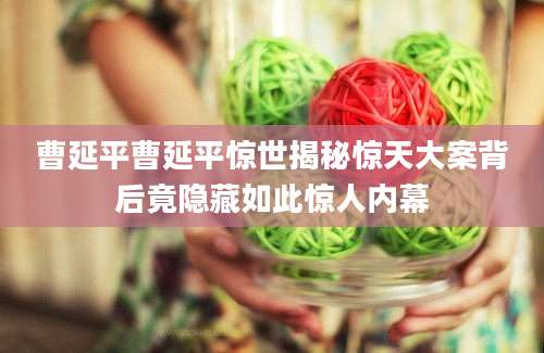 曹延平曹延平惊世揭秘惊天大案背后竟隐藏如此惊人内幕