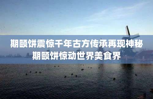 期颐饼震惊千年古方传承再现神秘期颐饼惊动世界美食界