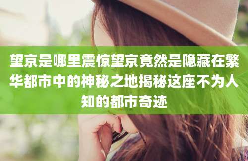望京是哪里震惊望京竟然是隐藏在繁华都市中的神秘之地揭秘这座不为人知的都市奇迹