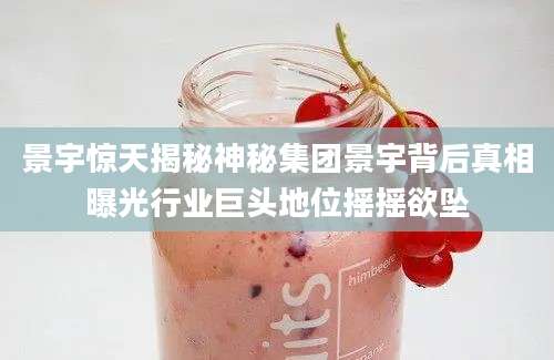 景宇惊天揭秘神秘集团景宇背后真相曝光行业巨头地位摇摇欲坠