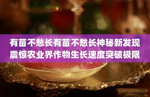 有苗不愁长有苗不愁长神秘新发现震惊农业界作物生长速度突破极限