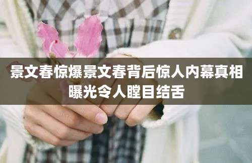 景文春惊爆景文春背后惊人内幕真相曝光令人瞠目结舌