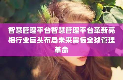 智慧管理平台智慧管理平台革新亮相行业巨头布局未来震惊全球管理革命