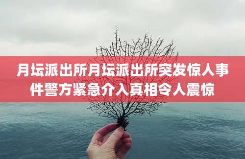 月坛派出所月坛派出所突发惊人事件警方紧急介入真相令人震惊