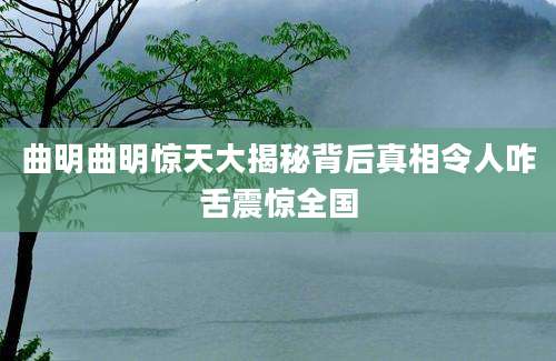 曲明曲明惊天大揭秘背后真相令人咋舌震惊全国