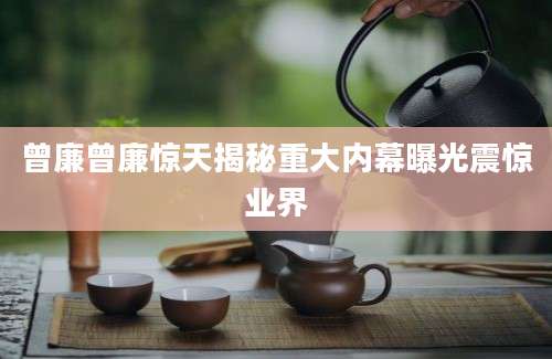 曾廉曾廉惊天揭秘重大内幕曝光震惊业界