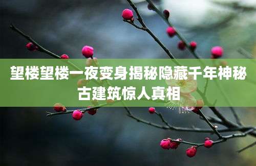 望楼望楼一夜变身揭秘隐藏千年神秘古建筑惊人真相