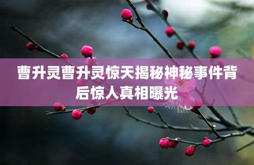 曹升灵曹升灵惊天揭秘神秘事件背后惊人真相曝光