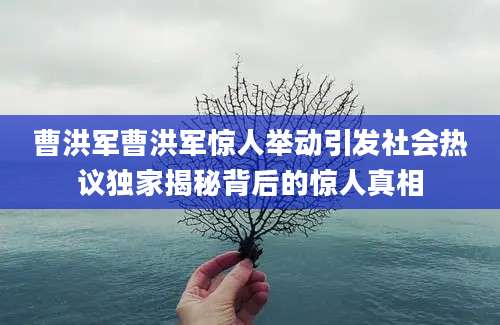 曹洪军曹洪军惊人举动引发社会热议独家揭秘背后的惊人真相