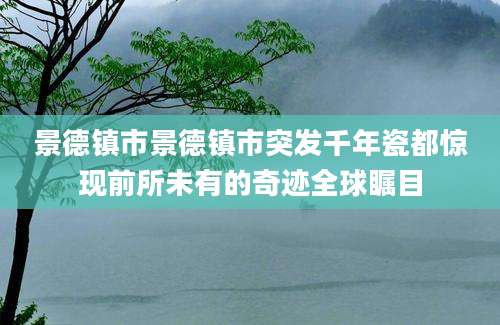 景德镇市景德镇市突发千年瓷都惊现前所未有的奇迹全球瞩目