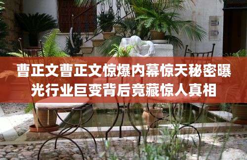 曹正文曹正文惊爆内幕惊天秘密曝光行业巨变背后竟藏惊人真相