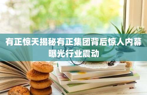 有正惊天揭秘有正集团背后惊人内幕曝光行业震动