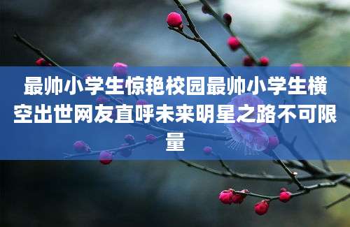 最帅小学生惊艳校园最帅小学生横空出世网友直呼未来明星之路不可限量