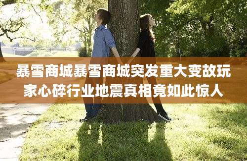 暴雪商城暴雪商城突发重大变故玩家心碎行业地震真相竟如此惊人
