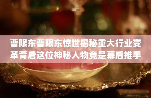 曹限东曹限东惊世揭秘重大行业变革背后这位神秘人物竟是幕后推手