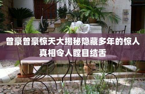 曾豪曾豪惊天大揭秘隐藏多年的惊人真相令人瞠目结舌