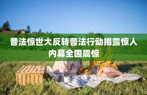 普法惊世大反转普法行动揭露惊人内幕全国震惊