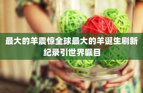 最大的羊震惊全球最大的羊诞生刷新纪录引世界瞩目