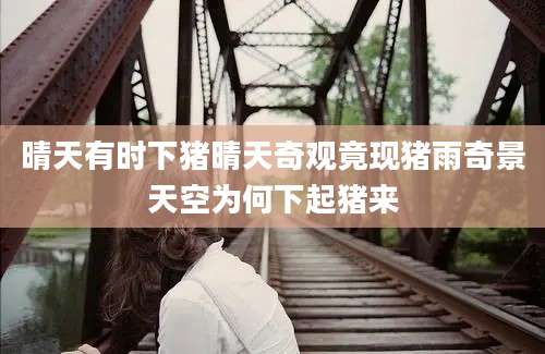 晴天有时下猪晴天奇观竟现猪雨奇景天空为何下起猪来
