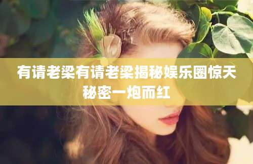 有请老梁有请老梁揭秘娱乐圈惊天秘密一炮而红