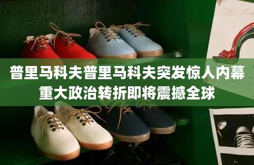 普里马科夫普里马科夫突发惊人内幕重大政治转折即将震撼全球