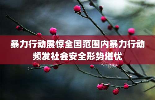 暴力行动震惊全国范围内暴力行动频发社会安全形势堪忧