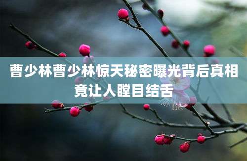 曹少林曹少林惊天秘密曝光背后真相竟让人瞠目结舌