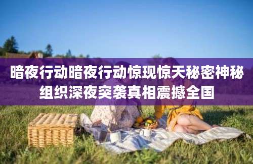 暗夜行动暗夜行动惊现惊天秘密神秘组织深夜突袭真相震撼全国