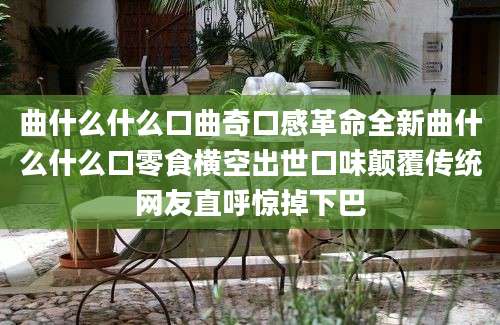 曲什么什么口曲奇口感革命全新曲什么什么口零食横空出世口味颠覆传统网友直呼惊掉下巴