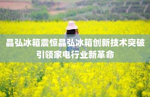 晶弘冰箱震惊晶弘冰箱创新技术突破引领家电行业新革命