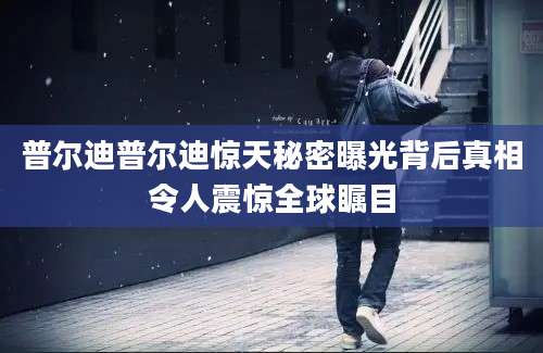 普尔迪普尔迪惊天秘密曝光背后真相令人震惊全球瞩目