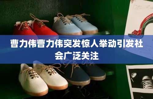 曹力伟曹力伟突发惊人举动引发社会广泛关注