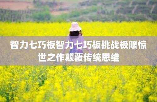 智力七巧板智力七巧板挑战极限惊世之作颠覆传统思维
